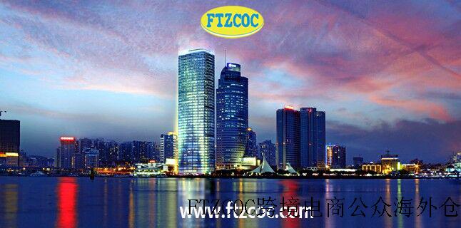 国内FTZCOC服务团队